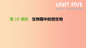 內(nèi)蒙古包頭市2019年中考生物 第五單元 生物圈中的其他生物 第16課時 生物圈中的微生物復(fù)習(xí)課件.ppt