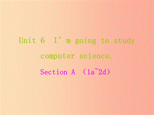 八年級(jí)英語(yǔ)上冊(cè) Unit 6 I’m going to study computer science課件 新人教版.ppt