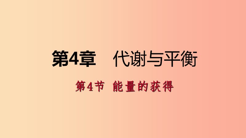 2019年秋九年级科学上册 第4章 代谢与平衡 第4节 能量的获得练习课件（新版）浙教版.ppt_第1页