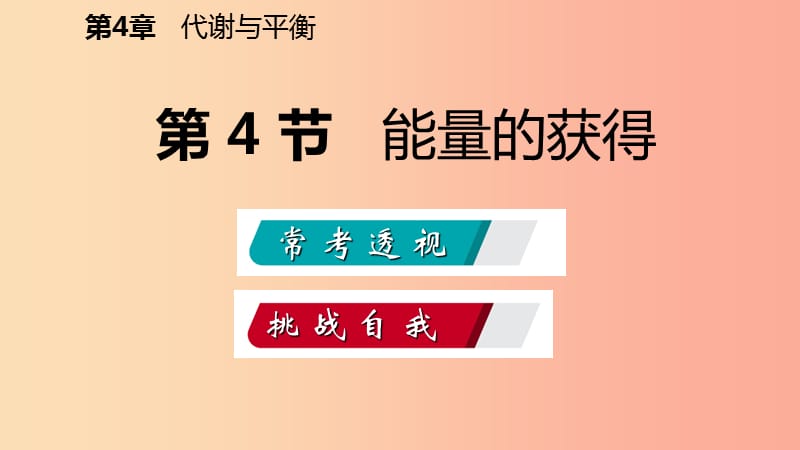 2019年秋九年级科学上册 第4章 代谢与平衡 第4节 能量的获得练习课件（新版）浙教版.ppt_第2页