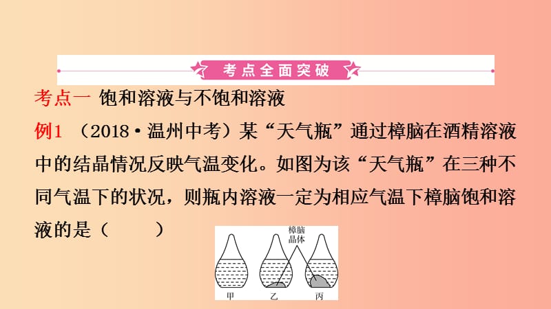 山东省东营市2019年初中化学学业水平考试总复习 第九单元 溶液 第2课时 溶解度及溶解度曲线课件.ppt_第2页