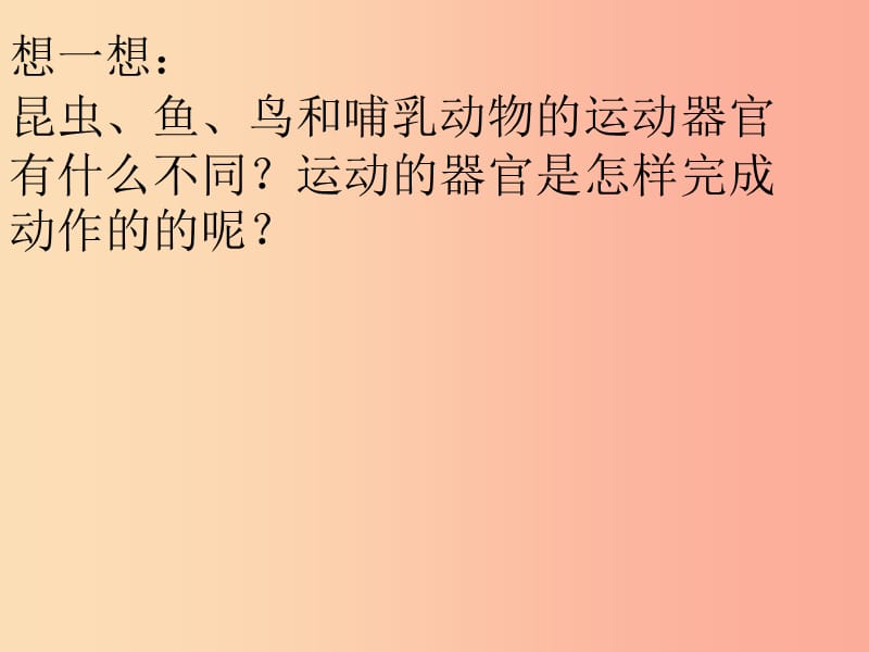 吉林省通化市八年级生物上册 5.2.1动物的运动课件2 新人教版.ppt_第3页