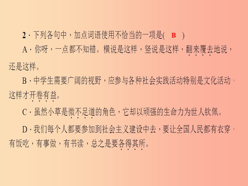 （达州专版）2019年七年级语文上册 专题复习二 词语的理解与运用课件 新人教版.ppt_第3页