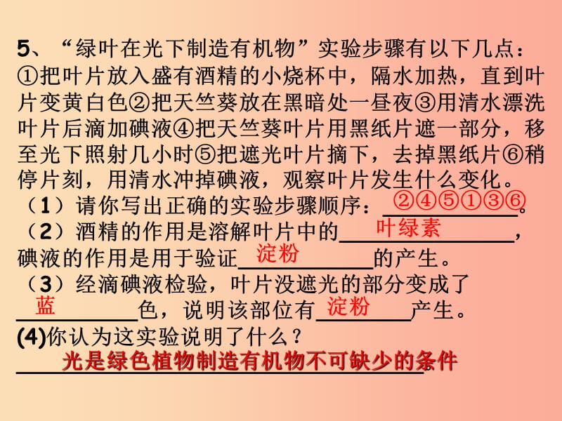 吉林省长春市七年级生物上册 第三单元 第四章《绿色植物对有机物的利用》习题课件 新人教版.ppt_第2页