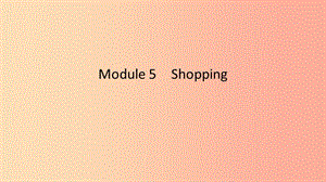 2019春七年級(jí)英語下冊(cè) Module 5 Shopping模塊語法專練課件（新版）外研版.ppt