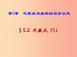 七年級(jí)數(shù)學(xué)上冊(cè) 第五章 代數(shù)式與函數(shù)的初步認(rèn)識(shí) 5.2《代數(shù)式（1）》課件 （新版）青島版.ppt