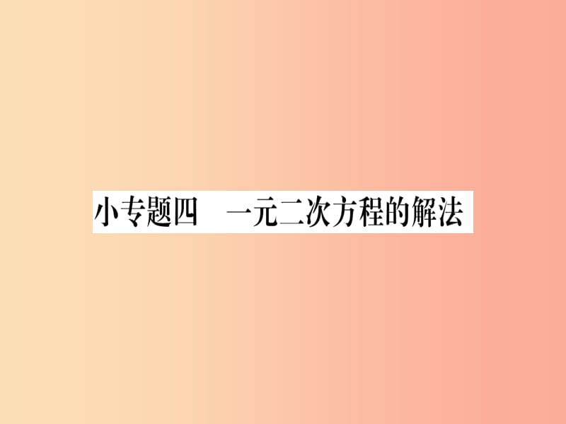 2019秋九年级数学上册 第22章 一元二次方程 小专题（4）作业课件华东师大版.ppt_第1页