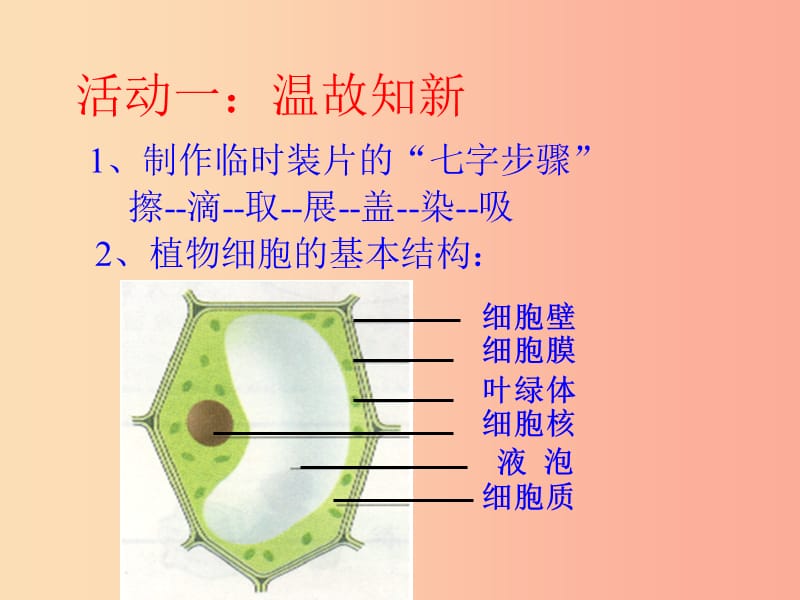 陕西省七年级生物上册 2.1.3 动物细胞课件 新人教版.ppt_第2页