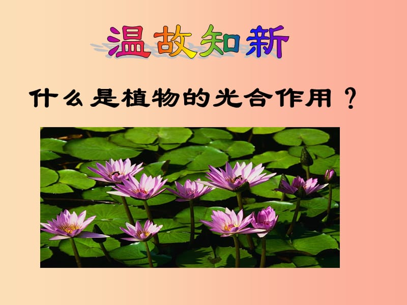 吉林省长春市七年级生物上册 第三单元 第四章 绿色植物是生物圈中有机物的制造者课件2 新人教版.ppt_第3页