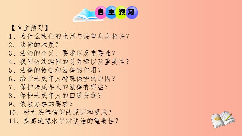 广东省河源市八年级道德与法治下册 期末复习课件 新人教版.ppt_第3页