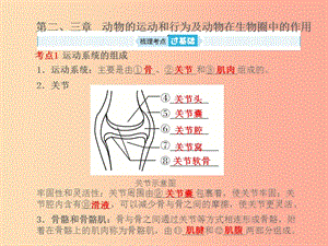 （聊城專版）山東省2019年中考生物總復習 第五單元 生物圈中的其他生物 第二-三章課件.ppt