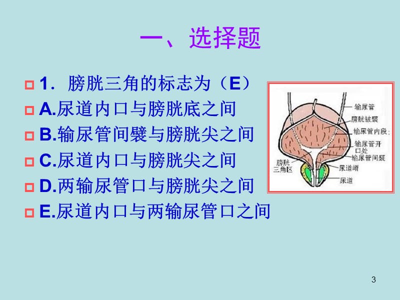 医学临床三基训练试题集ppt课件_第3页