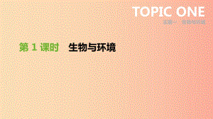 廣東省2019年中考生物 主題復(fù)習(xí)一 生物與環(huán)境 第01課時 生物與環(huán)境課件.ppt