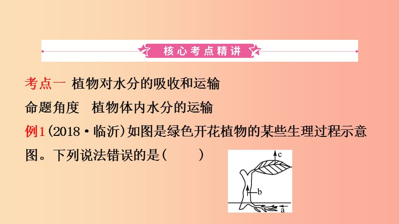 山东省2019年中考生物总复习 第三单元 生物圈中的绿色植物 第三章 绿色植物与生物圈的水循环课件.ppt_第2页