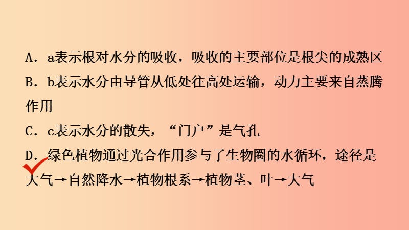 山东省2019年中考生物总复习 第三单元 生物圈中的绿色植物 第三章 绿色植物与生物圈的水循环课件.ppt_第3页