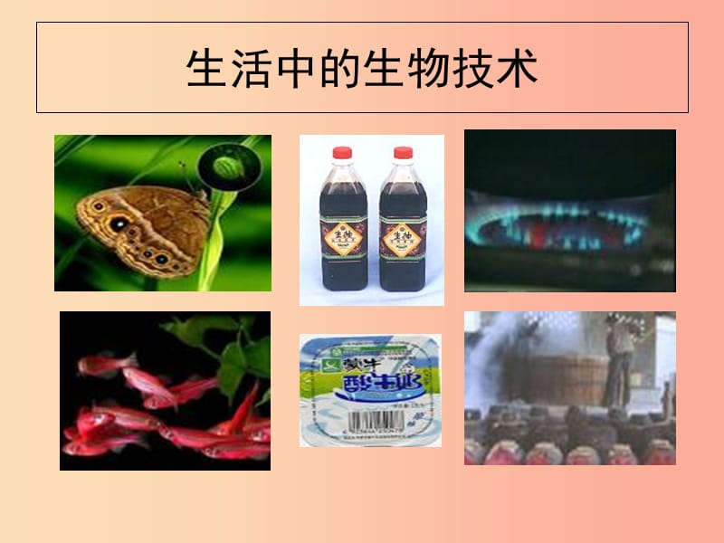 广东省揭阳市八年级生物下册 25.1“发酵技术课件（新版）北师大版.ppt_第2页