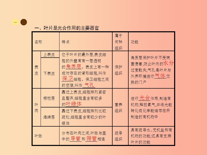 七年级生物上册 3.6.2 植物光合作用的场所习题课件 （新版）苏教版.ppt_第2页