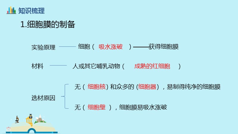 一轮复习细胞膜与细胞核ppt课件_第3页