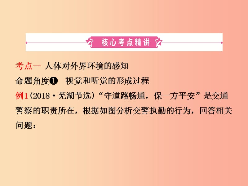 （江西专版）2019中考生物 第1部分 第四单元 第六章 人体生命活动的调节复习课件.ppt_第2页