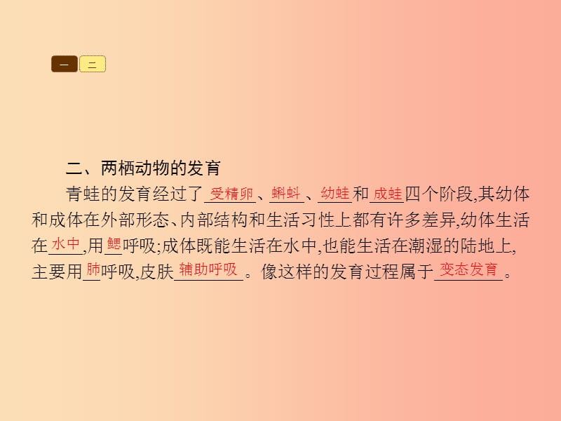 八年级生物上册第四单元第二章第二节两栖动物的生殖和发育课件新版济南版.ppt_第3页