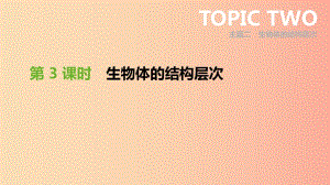 廣東省2019年中考生物 主題復(fù)習(xí)二 生物體的結(jié)構(gòu)層次 第03課時(shí) 生物體的結(jié)構(gòu)層次課件.ppt