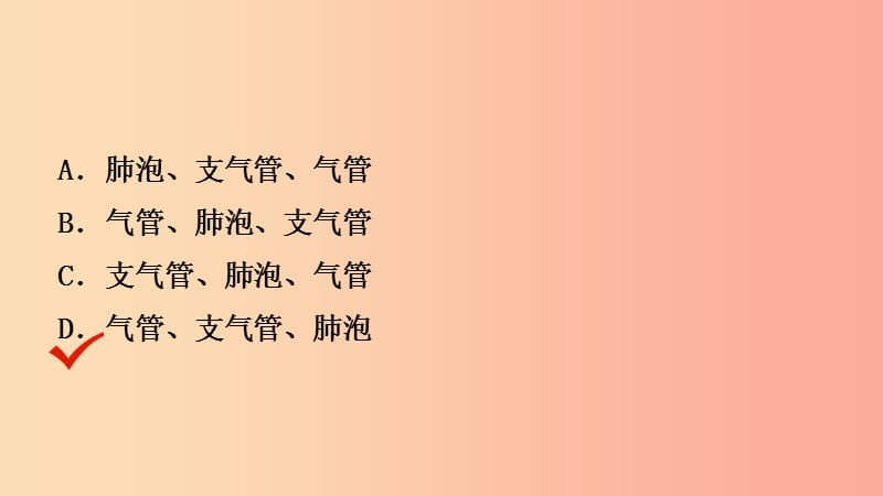 山东省2019年中考生物总复习 第三单元 生物圈中的人 第二章 人的生活需要空气课件.ppt_第3页