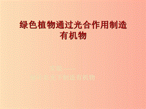 吉林省長春市七年級生物上冊 第三單元 第四章 綠色植物通過光合作用制造有機物課件2 新人教版.ppt