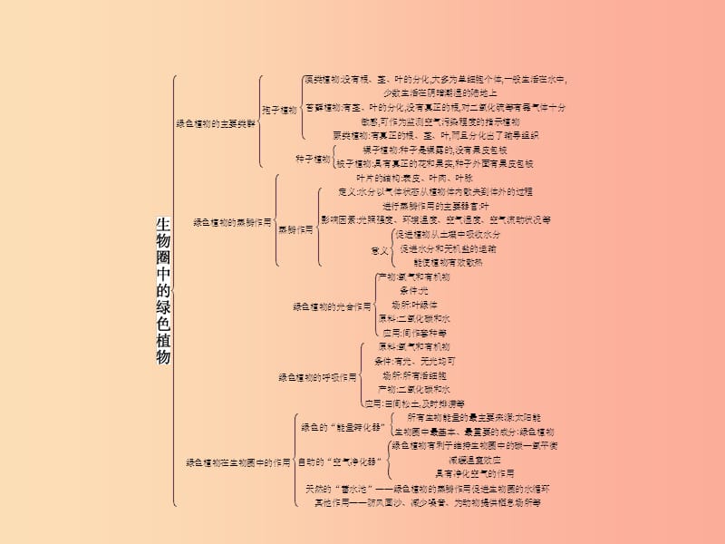 七年级生物上册 第二单元 第一章 生物圈中的绿色植物单元整合课件 （新版）济南版.ppt_第2页