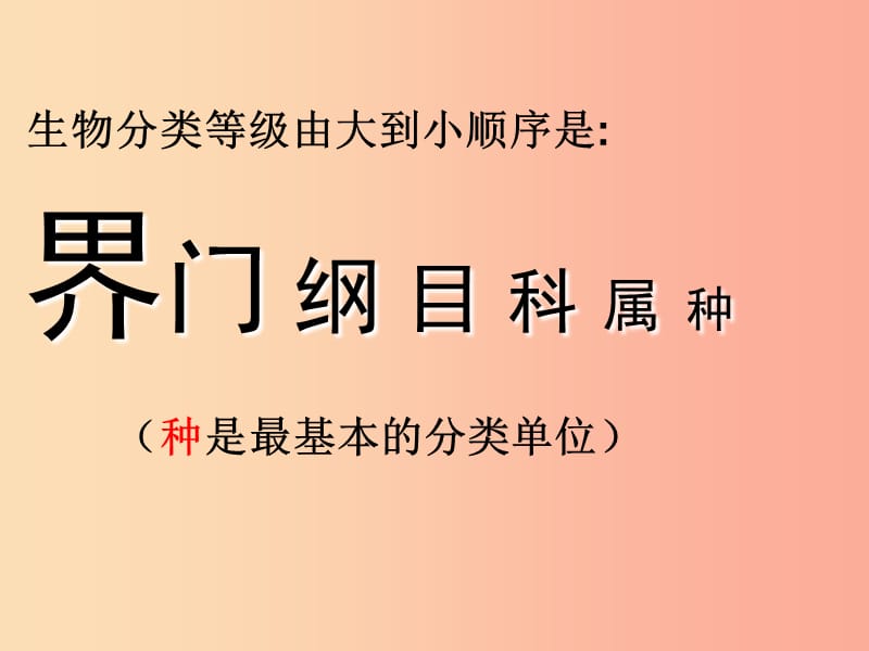 辽宁省凌海市2019年八年级生物上册6.1.2从种到界课件 新人教版.ppt_第2页