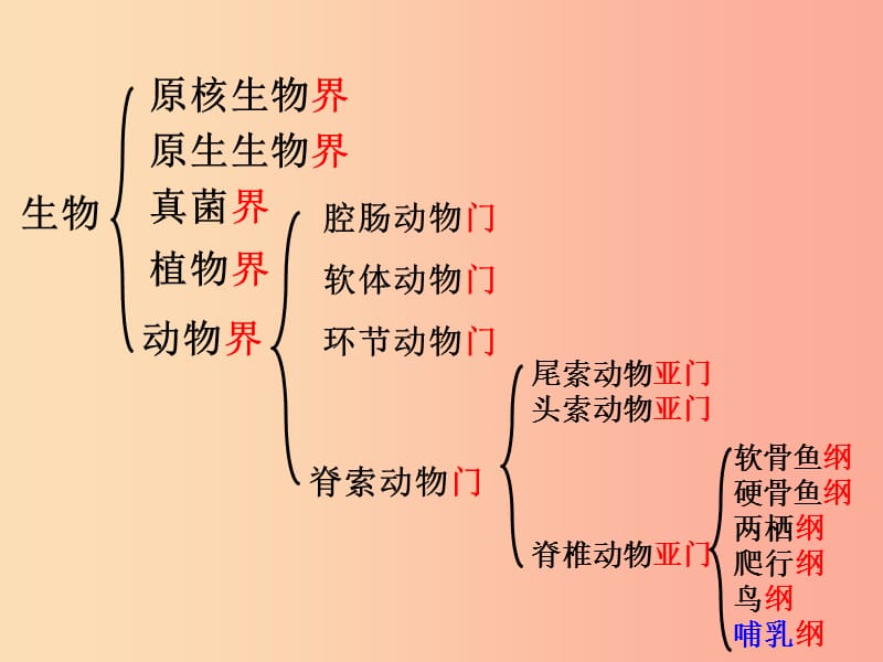 辽宁省凌海市2019年八年级生物上册6.1.2从种到界课件 新人教版.ppt_第3页