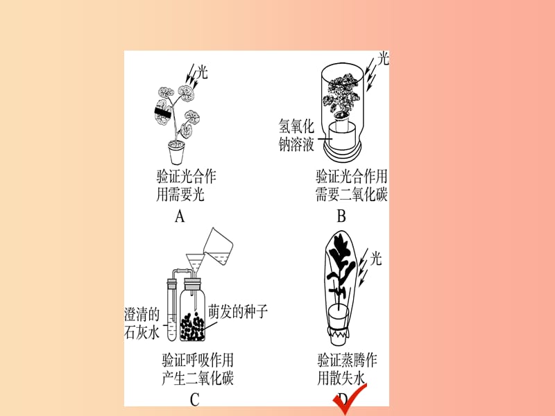 （江西专版）2019中考生物 第2部分 专题四 绿色植物的三大生理作用复习课件.ppt_第3页