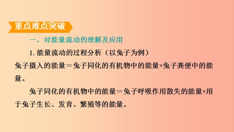 山东省2019年中考生物 专题复习七 生物系统课件 济南版.ppt_第2页