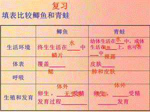 吉林省通化市八年級(jí)生物上冊(cè) 5.1.5兩棲動(dòng)物和爬行動(dòng)物 爬行動(dòng)物課件 新人教版.ppt