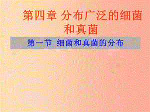 吉林省長春市八年級生物上冊 第五單 第四章 第一節(jié) 細菌和真菌的分布課件 新人教版.ppt