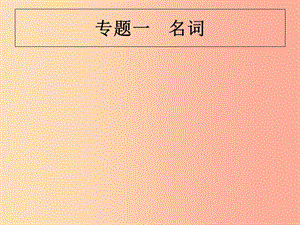 （甘肅地區(qū)）2019年中考英語(yǔ)復(fù)習(xí) 專題一 名詞課件 新人教版.ppt