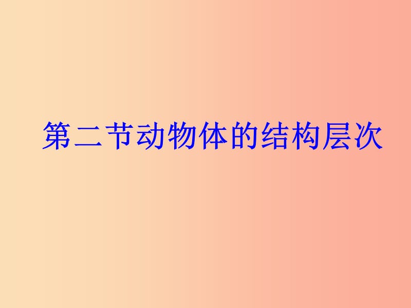 陕西省七年级生物上册 2.2.2动物体的结构层次课件2 新人教版.ppt_第1页