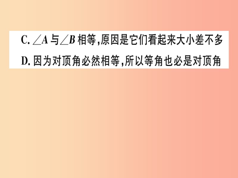 通用版八年级数学上册第7章平行线的证明7.1为什么要证明习题讲评课件（新版）北师大版.ppt_第3页