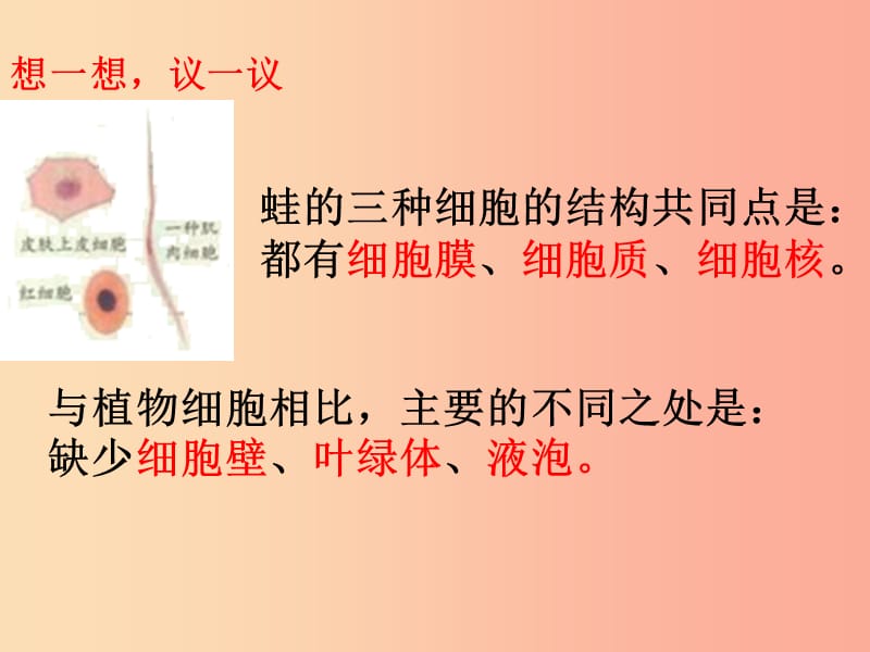 安徽省七年级生物上册2.1.3动物细胞课件2 新人教版.ppt_第2页