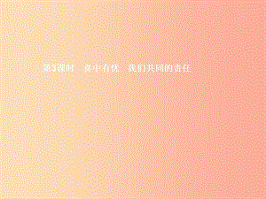 九年級(jí)政治全冊(cè) 第三單元 法治時(shí)代 第8課 依法治國(guó) 第3框 喜中有憂 我們共同的責(zé)任課件 人民版.ppt