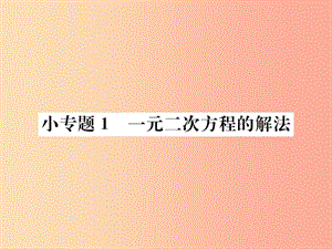 2019年秋九年級數(shù)學(xué)上冊 第二十一章 一元二次方程 小專題1 一元二次方程的解法課件 新人教版.ppt