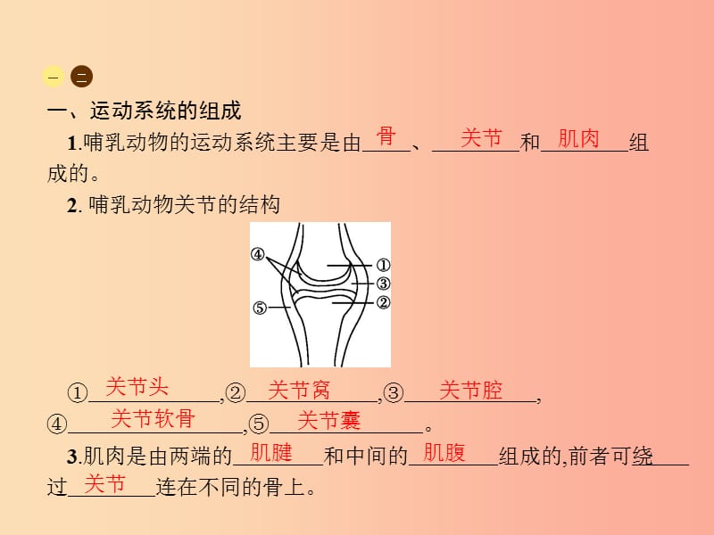 八年级生物上册5.2.1动物的运动课件新人教版.ppt_第3页