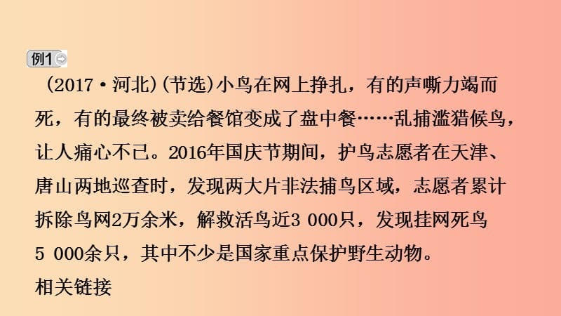 河北省2019年中考道德与法治 专题复习一 传承优秀文化 践行核心价值观（课时1生命的思考）课件.ppt_第3页