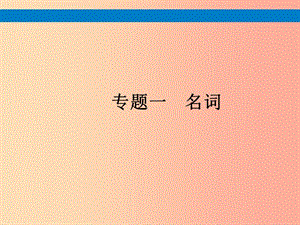 （課標通用）安徽省2019年中考英語總復習 專題1 名詞課件.ppt