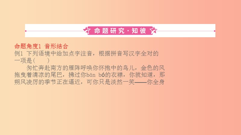 山东省2019中考语文 题型一 字音字形复习课件.ppt_第1页