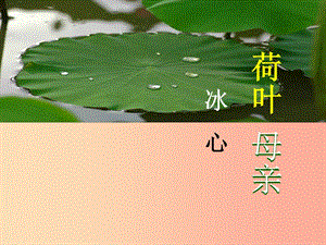 陜西省七年級語文上冊 第二單元 7 散文詩二首 荷葉 母親課件1 新人教版.ppt