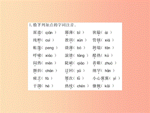 （襄陽專版）2019年七年級語文上冊 第四單元基礎(chǔ)必刷題（四）習(xí)題課件 新人教版.ppt