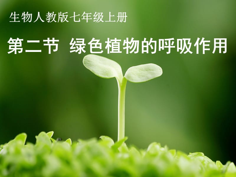 七年级生物上册 3.5.2绿色植物的呼吸作用课件 新人教版.ppt_第3页