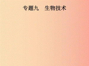 （課標(biāo)通用）甘肅省2019年中考生物總復(fù)習(xí) 專題九 生物技術(shù)課件.ppt