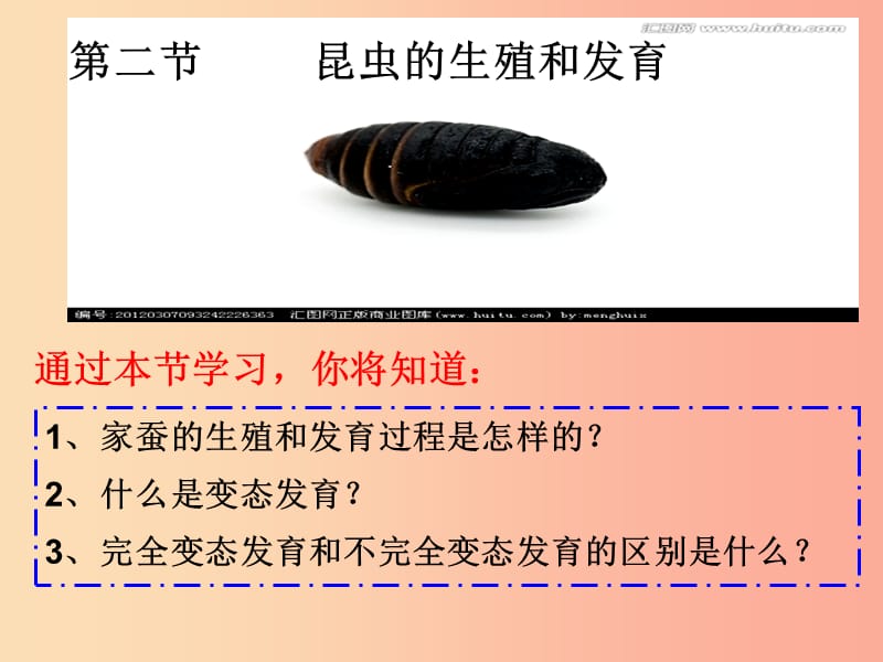 吉林省八年级生物下册 7.1.2 昆虫的生殖和发育课件 新人教版.ppt_第1页