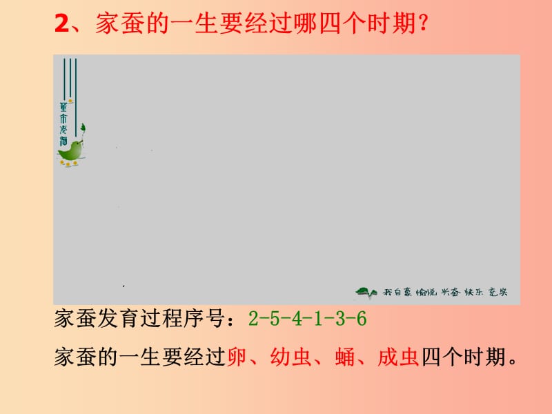 吉林省八年级生物下册 7.1.2 昆虫的生殖和发育课件 新人教版.ppt_第3页